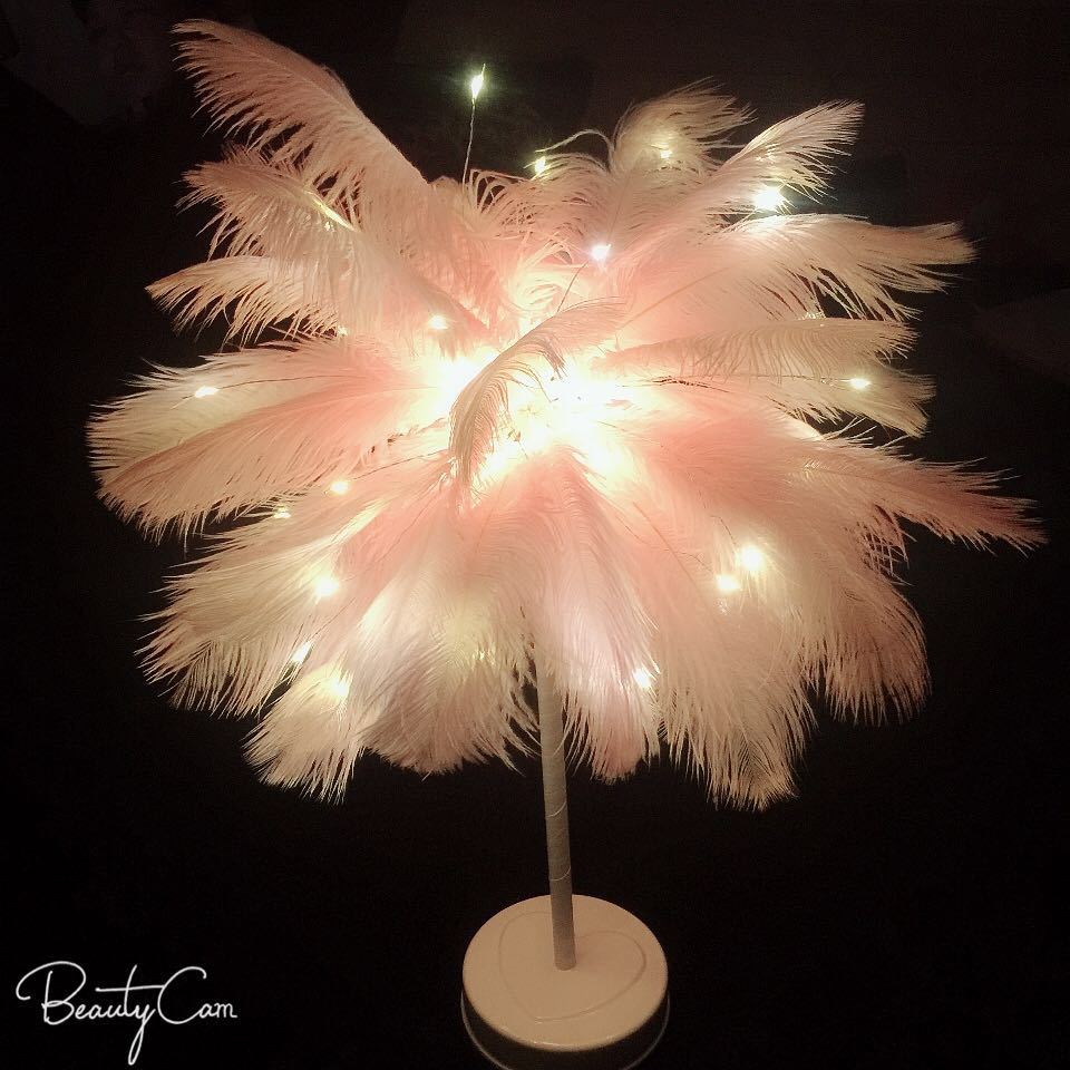 LED Ostrich Feather Remote Control Table Lamp - K Dragon Mart Online Shopping | K-DragonMart.QA ...