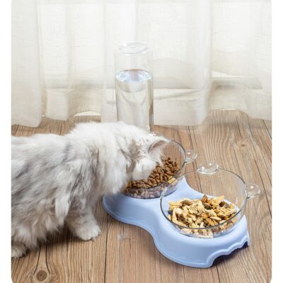 Pet Double Bowl Feeder Self-motion Drinking Water Fountain