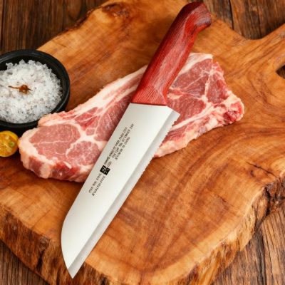 Coated Handle Frozen Meat Kitchen Knife - RL Style