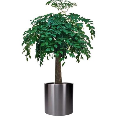 Stainless Steel Flower Pot
D40cm*H40cm - Image 3