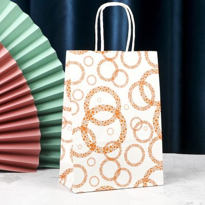 Paper Gift Bag – Mixed Colors & Designs (Random Selection) - Image 24