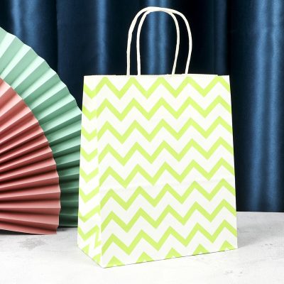 Paper Gift Bag – Mixed Colors & Designs (Random Selection) - Image 21