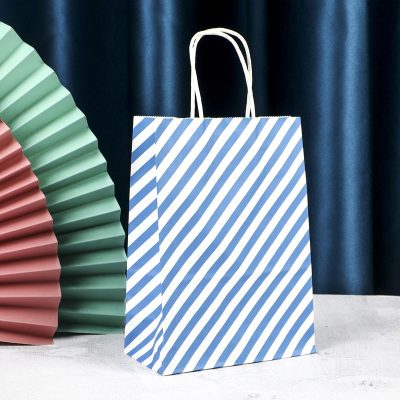 Paper Gift Bag – Mixed Colors & Designs (Random Selection) - Image 19