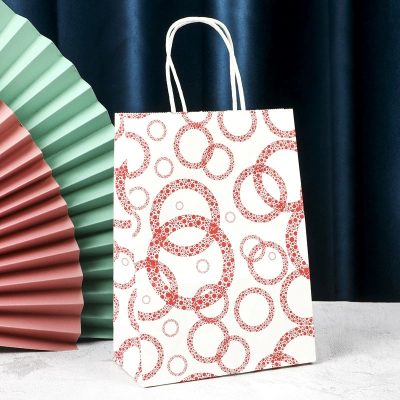 Paper Gift Bag – Mixed Colors & Designs (Random Selection) - Image 7